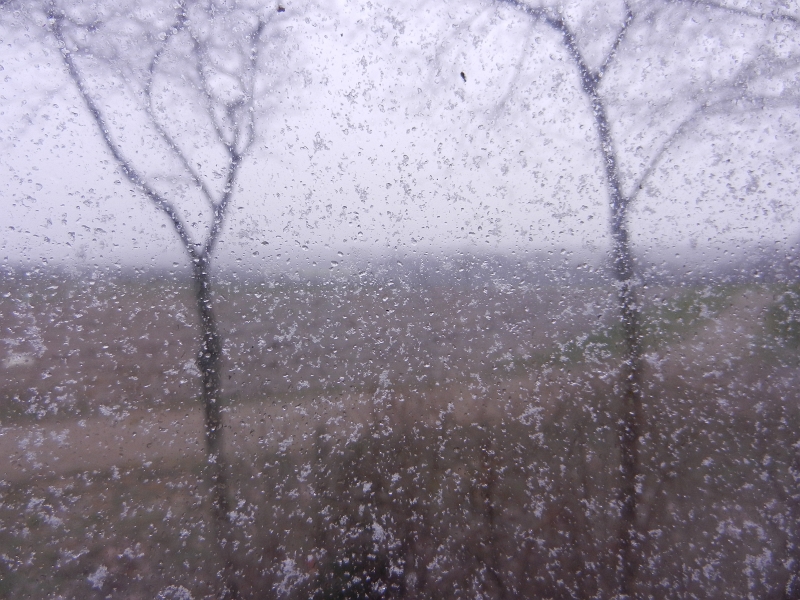 DSCN5014.JPG - Unser Schlafzimmerfenster, nachdem es kurze Zeit auf war. ES SCHNEIT!!!