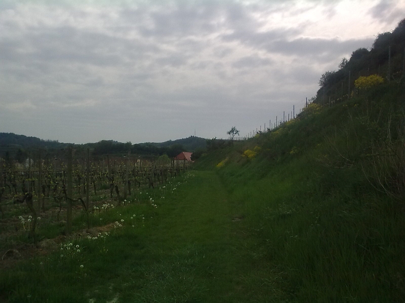 Bild0731.jpg - Wir "wandern" ein wenig um den Ort. Das langsame Museumsbummeln ist schlecht für meine Bandscheiben weßhalb wir hier quasi als ausgleich laufen.