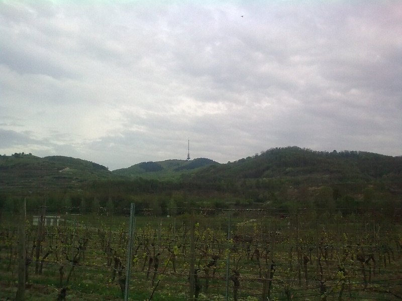 Bild0733.jpg - Der Turm steht auf dem höchsten Gipfel vom Kaiserstuhl, dem Totenkopf.