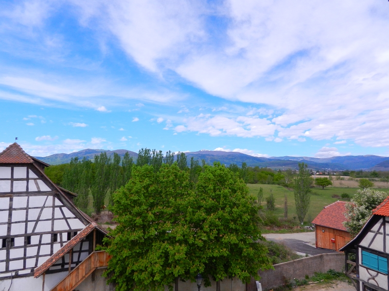 DSCN6591.JPG - Von dem Turm hat man eine schöne übersicht über das Museumsdorf.