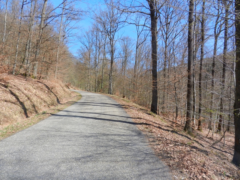 DSCN6059.JPG - Da wir irgendwann die 4-Burgen-Wanderung machen wollen und gerade in der nähe sind, fahren wir hoch zur Burg Fleckenstein um nach dem Parkplatz zu schauen wo wir mit Dixi übernachten wollen.