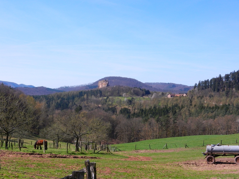 DSCN6064.JPG - So, jetzt sind wir wieder runter in's Tal gefahren und auf der anderen Seite des Berges wieder hoch um zum Gimbelhof zu gelangen. Irgendwo habe ich mal gelesen daß man dort auch mit dem Womo stehen darf, ich frage mich nur wo. Überall ist es extrem schief, Strom und VE gibt es auch nichts. Wenn, dann also lieber auf dem großen Parkplatz, der von hier zu Fuß auch nur wenige Meter entfernt ist!Im Hintergrund kann man die Fleckenburg sehen.