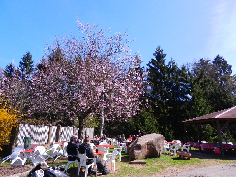 DSCN6069.JPG - Der Biergarten vom Gimbelhof.