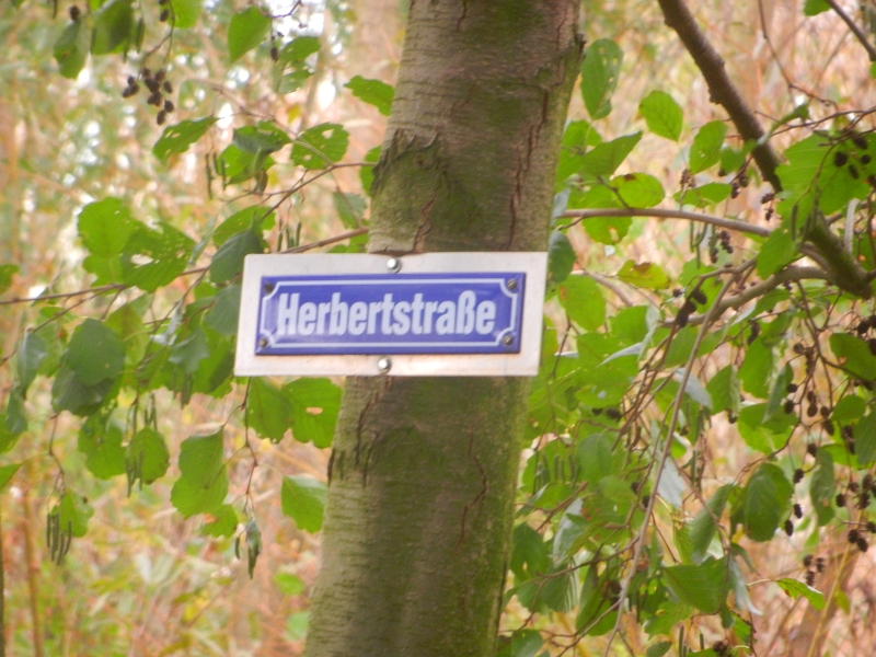 DSCN3411.JPG - Wir stehen wieder in der "Herbertstraße" :-)