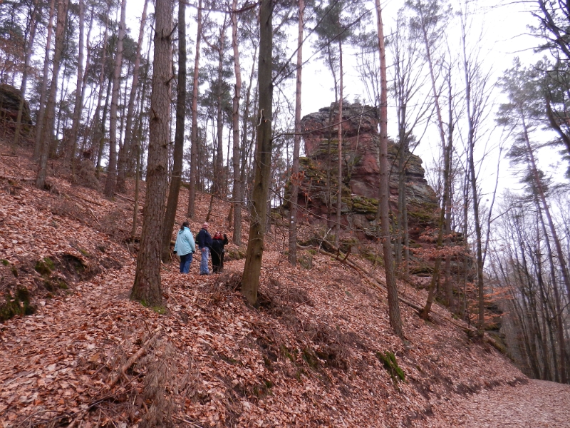 DSCN7831.JPG - Direkt zu beginn unserer Wanderung geht's mächtig steil den Berg rauf.