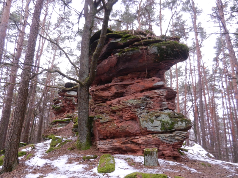 DSCN7849.JPG - ...wir laufen nun auf dem Bergkamm entlang.