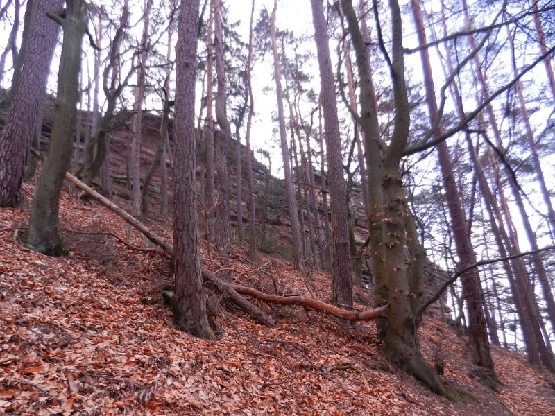 DSCN7880.JPG - Nun geht es richtig steil den Berg wieder runter...