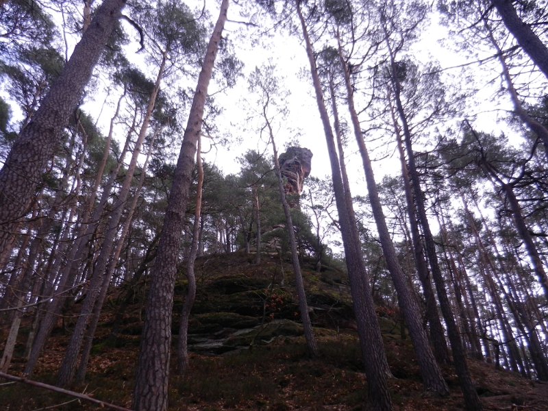 DSCN7886.JPG - Unterhalb des Buchkammerfelsen.