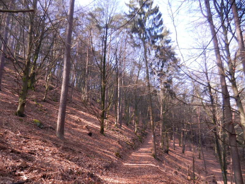 DSCN7956.JPG - Wieder geht es sehr steil den Berg rauf.