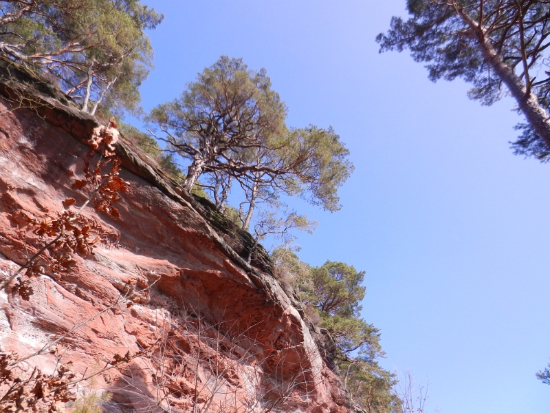 DSCN7980.JPG - Der Weg führt und nun unterhalb der Felsen weiter bergab!