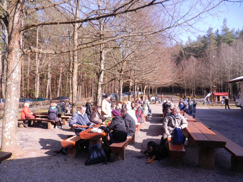 DSCN7999.JPG - ...wir laufen aber nicht zum Dixi, sondern erneut zur PWV-Hütte am Drachenfels!Dort staunen wir über die RANDVOLLE Gaststube und den fast vollen Biergarten davor!!!Nach zwei "Lewwerknepp mit Sauerkraut" machen wir uns auf den Heimweg. Wir sind nun ca. 13km gewandert (Trotz Kater!!!)