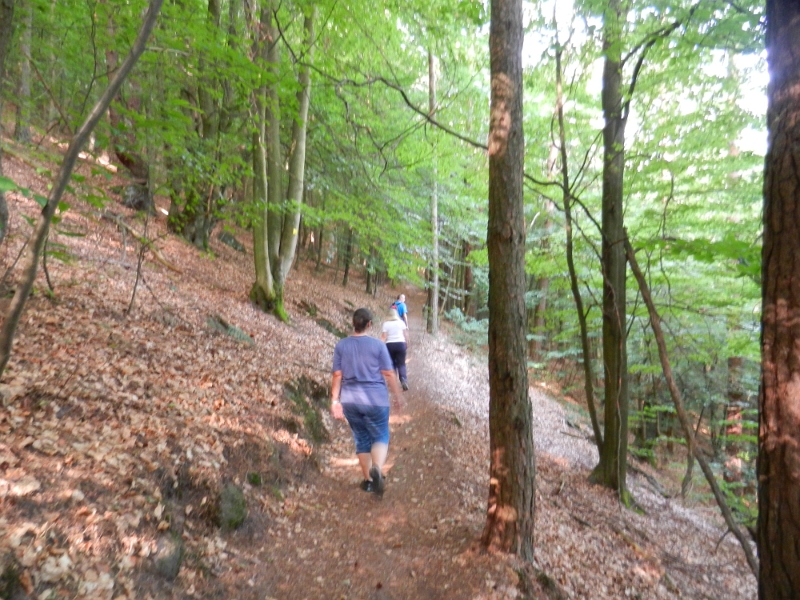 DSCN1103.JPG - Direkt geht es mächtig steil den Berg hoch. *uff*