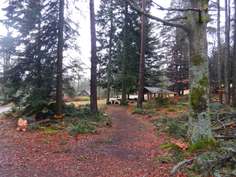 DSCN3958.JPG - Aaaah, wir erreichen die "Grünhütte" und somit ist die hälfte der Tour geschafft.