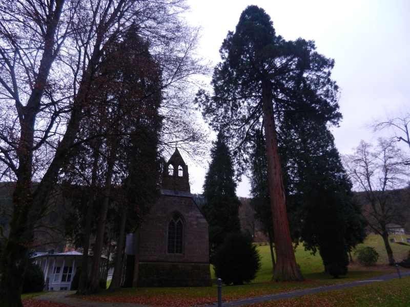 DSCN3975.JPG - Die Englische Kirche im Kurpark.