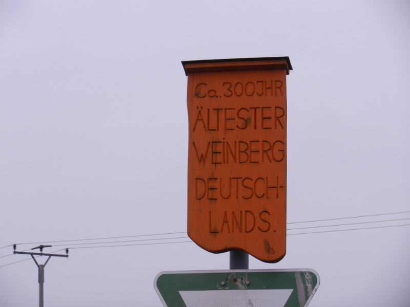 DSCN8191.JPG - In Rhodt unter Rietburg kommen wir am ältesten Weinberg Deutschlands vorbei.