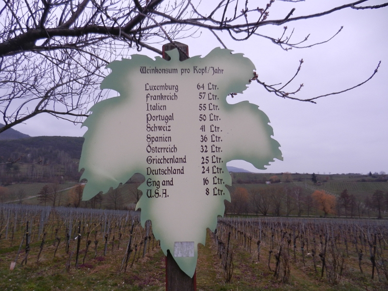 DSCN8203.JPG - ...entlang des Weinlehrpfades. Wie?!?!? Deutschland nur auf Platz 9? Naja, dafür sind wir Biertrinker Nr.1