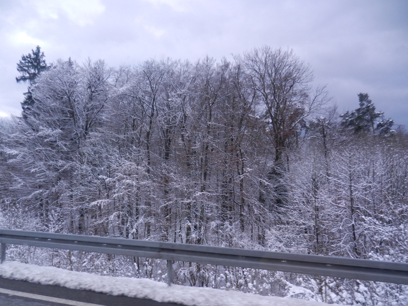 DSCN7060.JPG - Als wir kurz vor Basel auf die A98 abbiegen ändert sich schlagartig die Wettersituation. Hier liegt mächtig viel Schnee. Zum Glück sind die Straßen aber auch hier echt super gestreut und dementsprechend gut befahrbar.