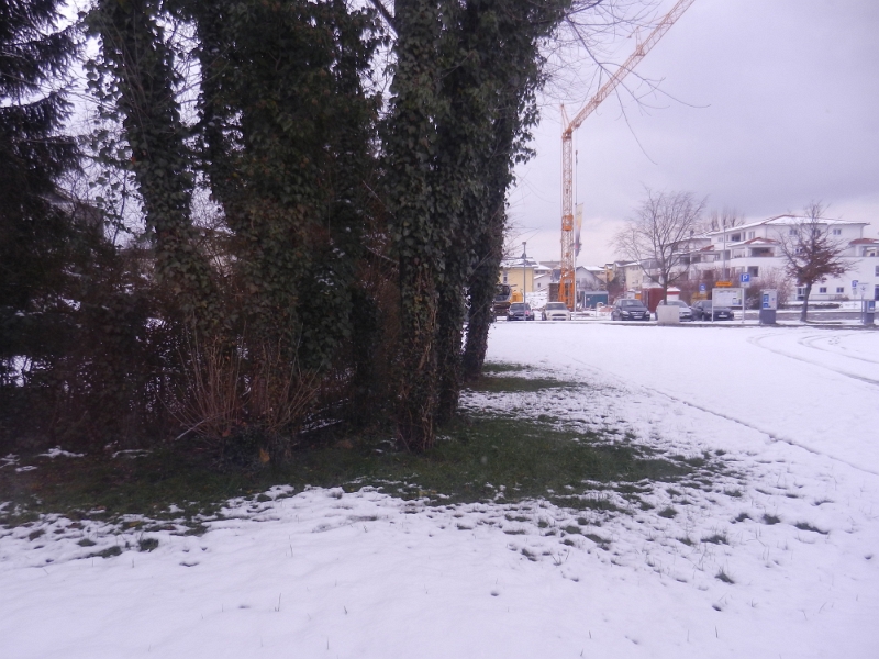 DSCN7081.JPG - Schnell finden wir den Reisemobilstellplatz nur unweit der Altstadt und der Holzbrücke über den Rhein.