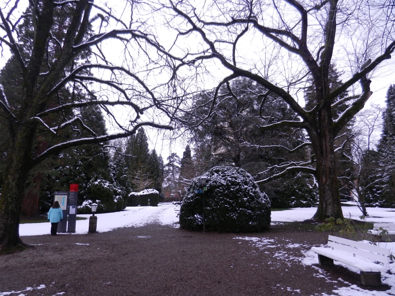 DSCN7088.JPG - Wir landen im Schlosspark.