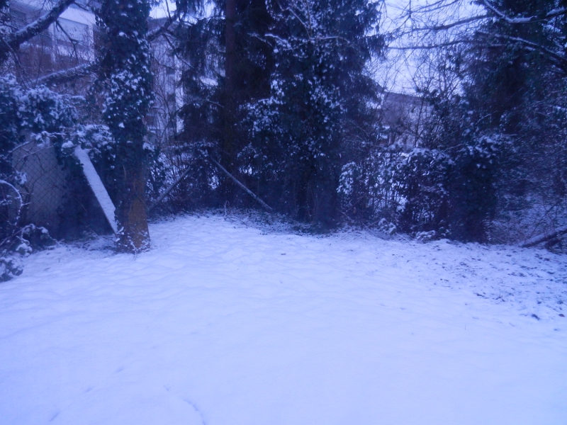 DSCN7157.JPG - Am nächsten Morgen liegt noch mehr Schnee...