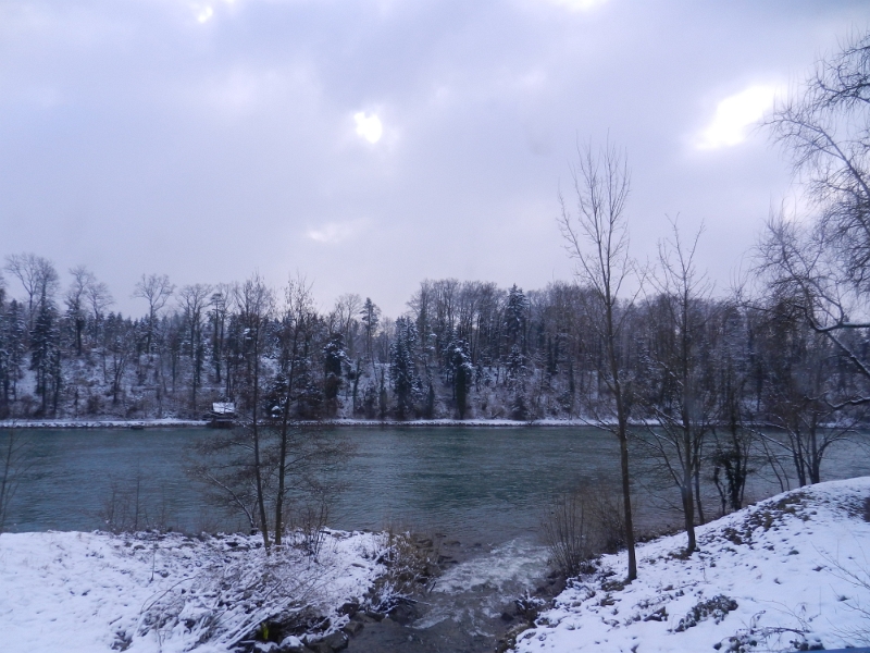 DSCN7181.JPG - Hier, in Murg, machen wir einen kleinen Abstecher zum Stellplatz vom Ort. Hierbei fahren wir auch direkt am Rhein entlang.