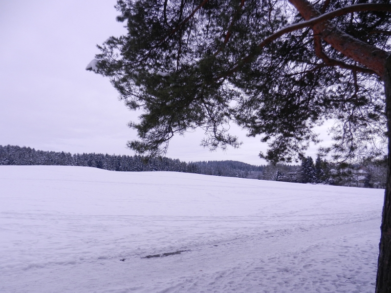 DSCN7435.JPG - Wir laufen durch eine schöne Schneelandschaft und umrunden dabei quasi den ganz Ort.