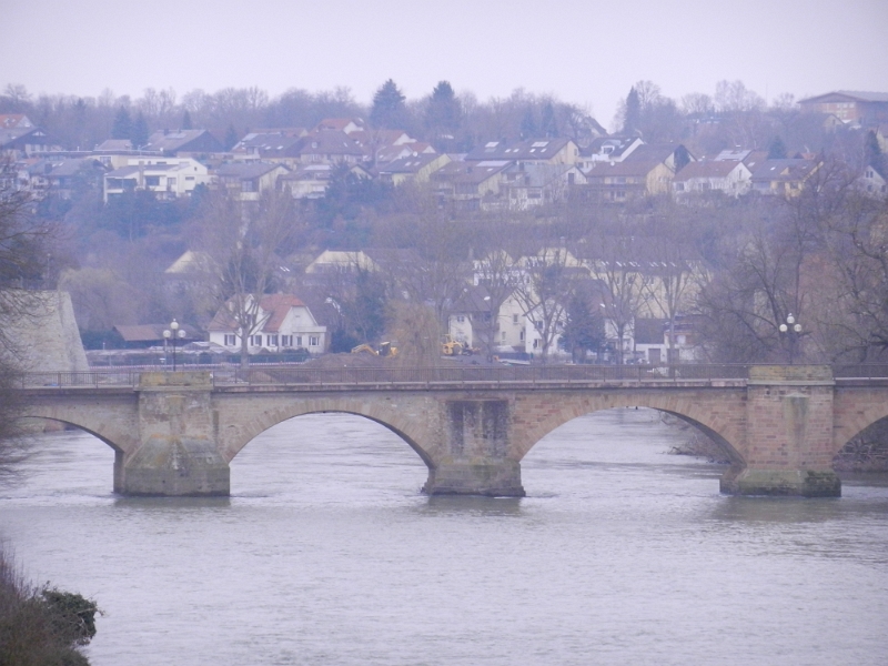 DSCN7492.JPG - Also laufen wir mal los und finden auch schnell einen Weg über den Neckar.