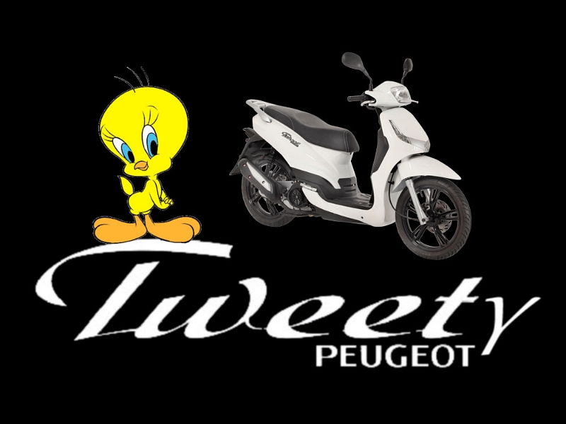 tweety.jpg - Dixi hat Nachwuchs bekommen!!! Es ist ein TWEETY... :-)