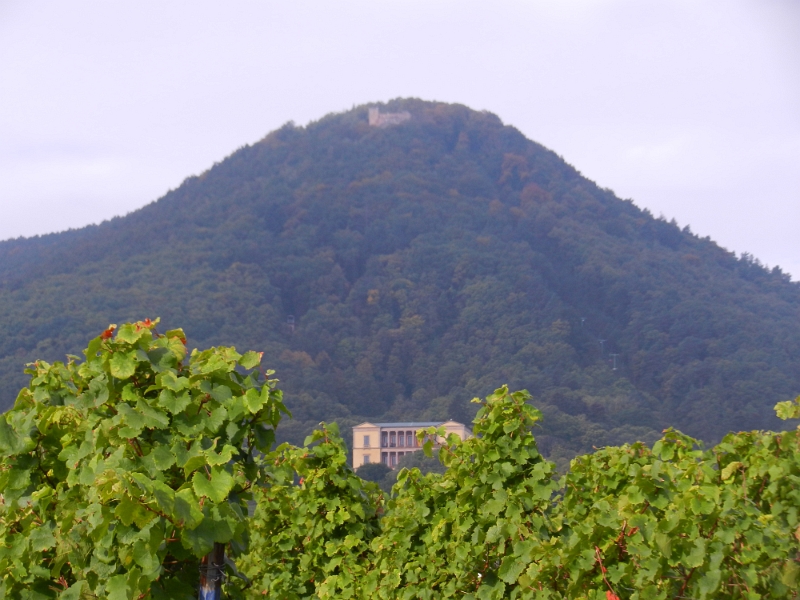 DSCN3551.JPG - Oben die Rietburg und unten die Villa Ludwigshöhe.