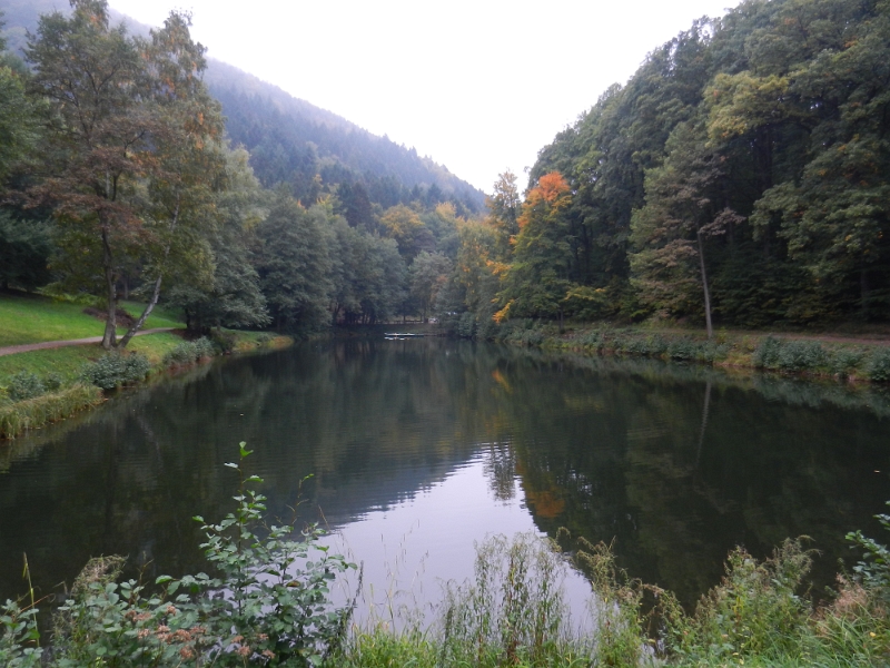 DSCN3556.JPG - Nachdem wir uns dann doch zu einer kleinen Wanderung losreisen konnten, sind wir zunächst zum Hilschweiher gelaufen.