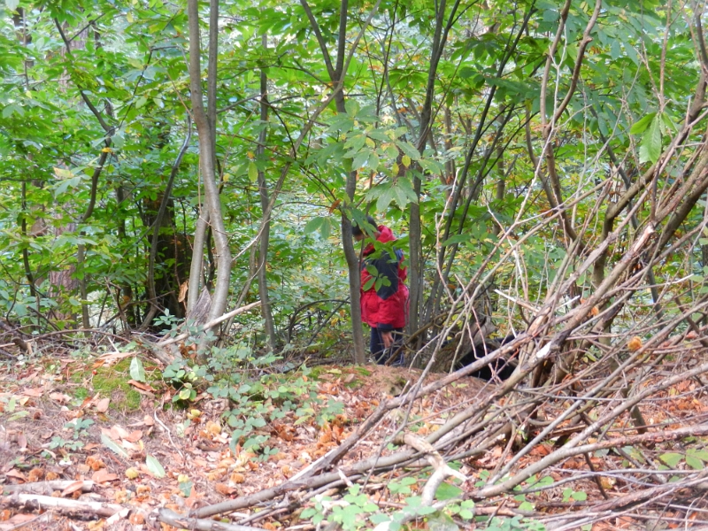 DSCN3633.JPG - Wir sind mittlerweile im Wald bei den "Keschdebääm".