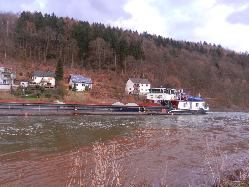 DSCN8258.JPG - Der Neckar führt gerade sehr viel Wasser.