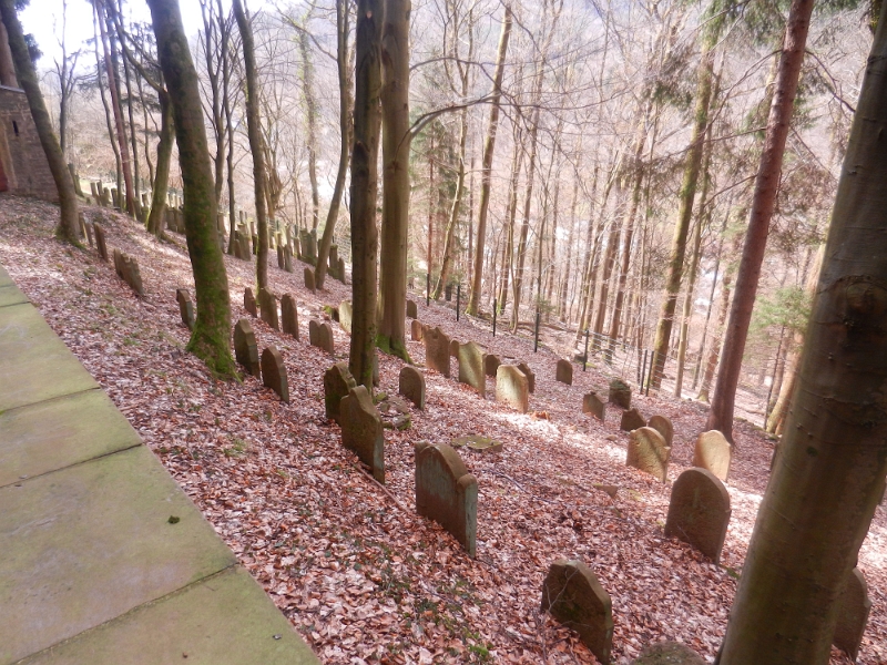 DSCN8395.JPG - Wir kommen an einem jüdischen Friedhof vorbei...