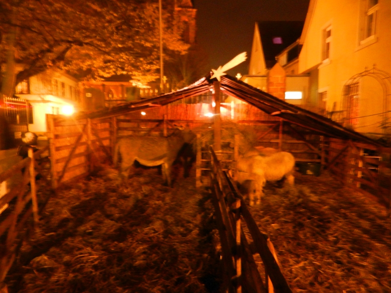 DSCN4114.JPG - Nun laufen wir in die Stadt um den Ladenburger Weihnachtsmarkt zu besuchen.