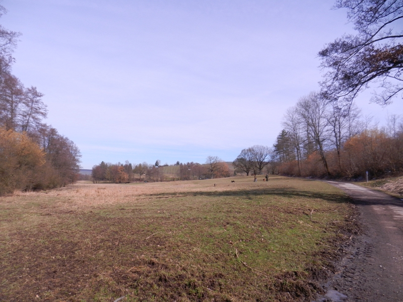 DSCN8138.JPG - Unsere Wanderung führt uns in das Stadtseetal.