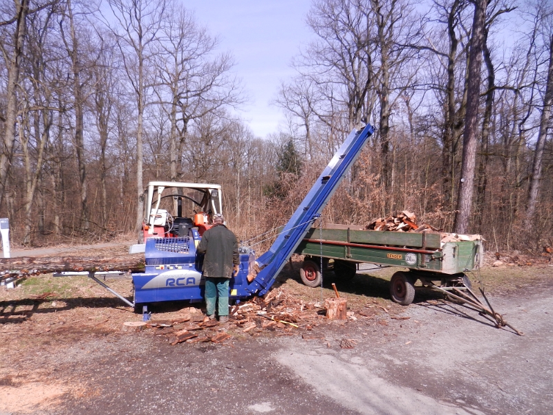 DSCN8141.JPG - An der Waldheide  unterhalten wir uns mit einem Förster, der ein gerade verendetes Reh begutachtet. Im Bild sehen wir Waldarbeiter die Holz spalten.