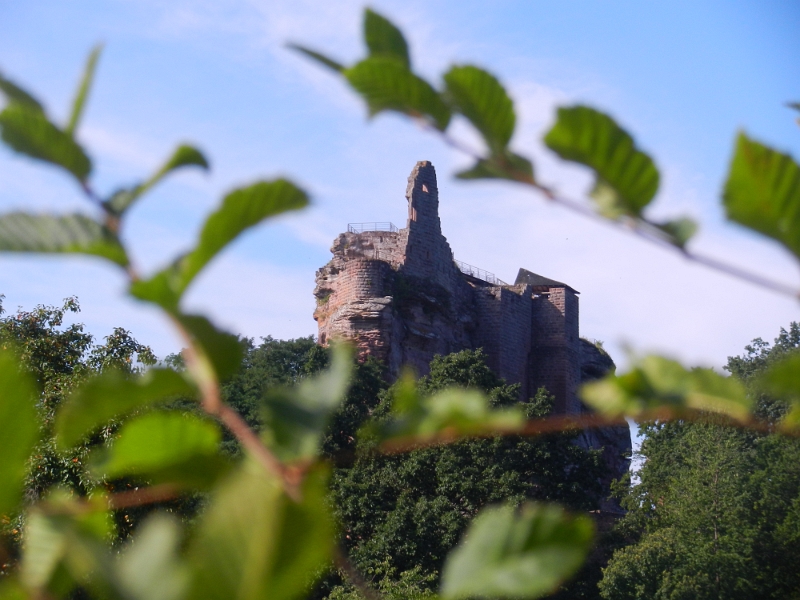 DSCN1296.JPG - Das ist nun die Burg Fleckenstein.Besichtigen wollen wir die Burg aber erst morgen, heute steht die Wanderung auf dem Plan.