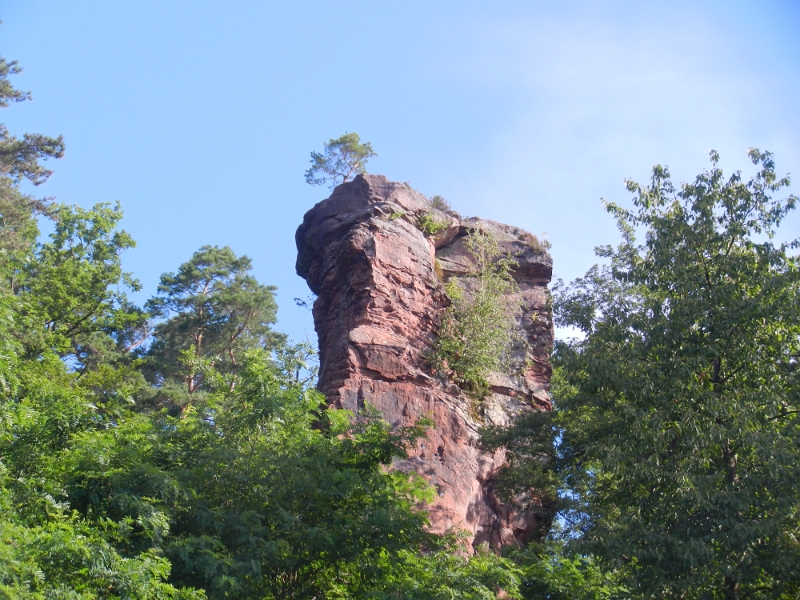 DSCN1297.JPG - Somit kehren wir der Burg den Rücken und laufen saumäßig steil den Berg rauf!