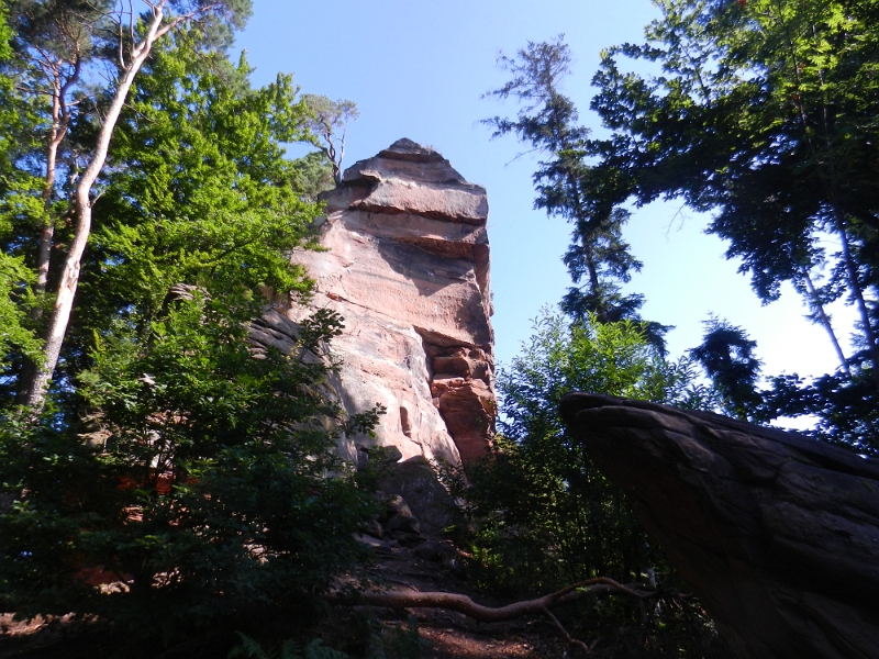 DSCN1303.JPG - Mannomann, noch steiler könnte es kaum weiter gehen. Das ist ja fast schon Bergsteigen! *UFF*