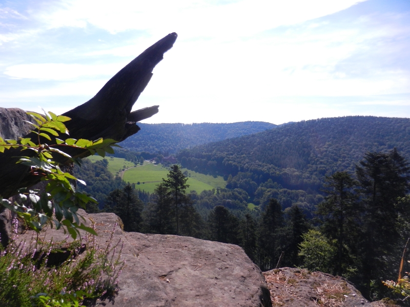 DSCN1306.JPG - Auf dem nächsten Felsen angekommen, entdecken wir dahinter den Gimbelhof im Tal.