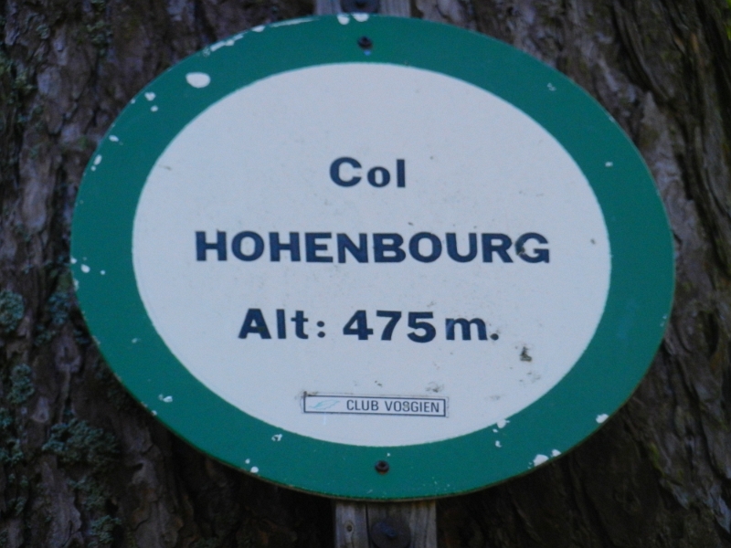 DSCN1318.JPG - Wir erreichen den Col de Hohenbourg.