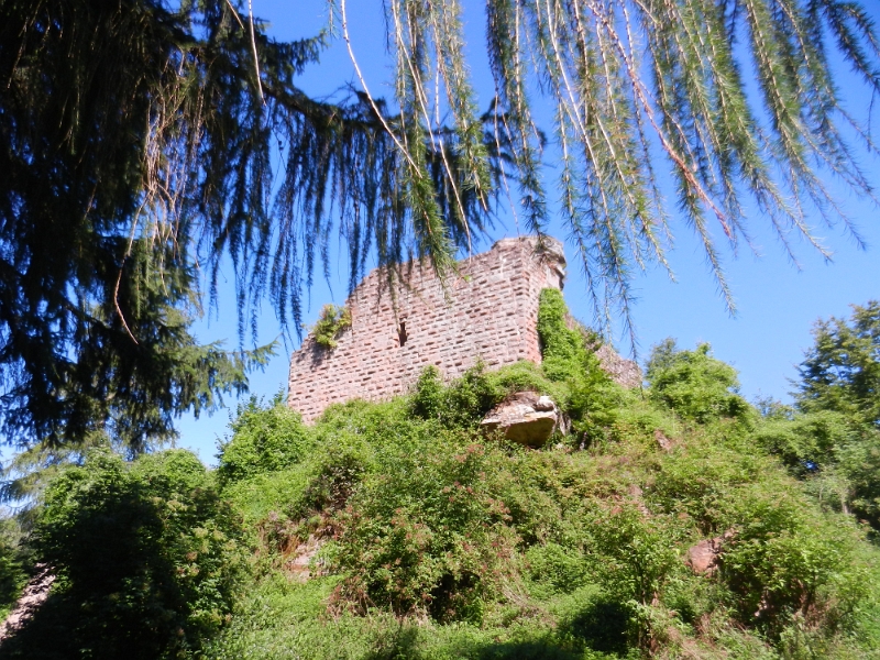 DSCN1334.JPG - ...die Burgruine Hohenbourg (Hohenburg).