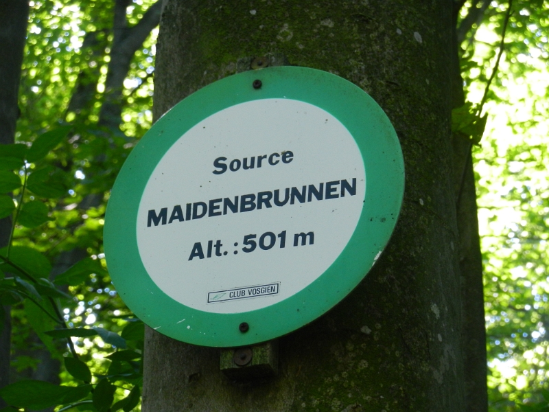 DSCN1348.JPG - Ein paar hundert Meter weiter kommen wir zum Maidenbrunnen.