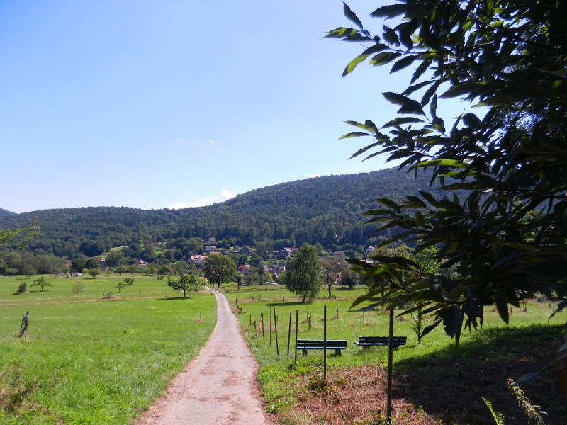 DSCN1357.JPG - Nach einigen Kilometer bergab erreichen wir eine große Wiese kurz vor Nothweiler.