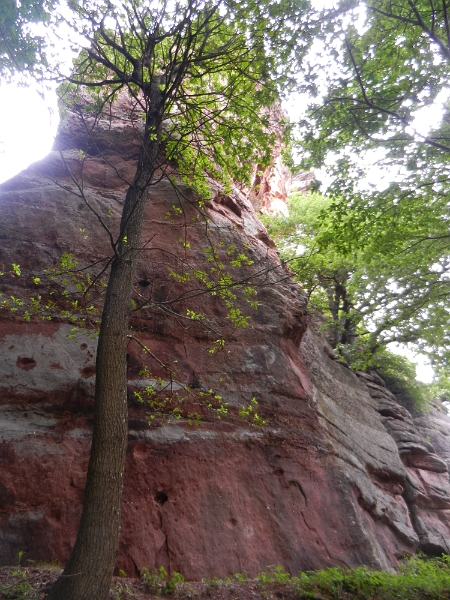 DSCN1433.JPG - Zu guter letzt, drehen wir noch die Runde um die Burg.