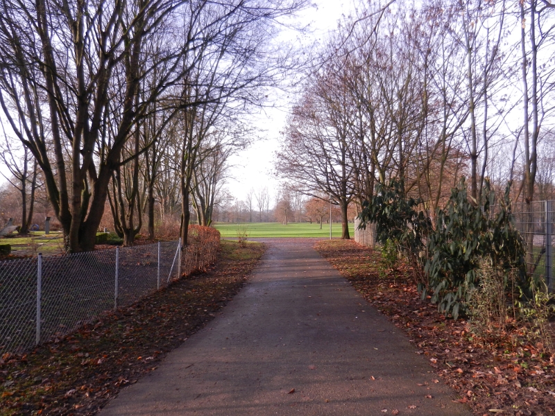 DSCN4164.JPG - Der Stellplatz liegt direkt am Wertwiesenpark und nur ca. 150m vom Neckar entfernt.