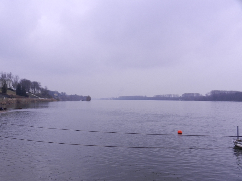 DSCN7750.JPG - Ein letzter Blick über den Rhein...