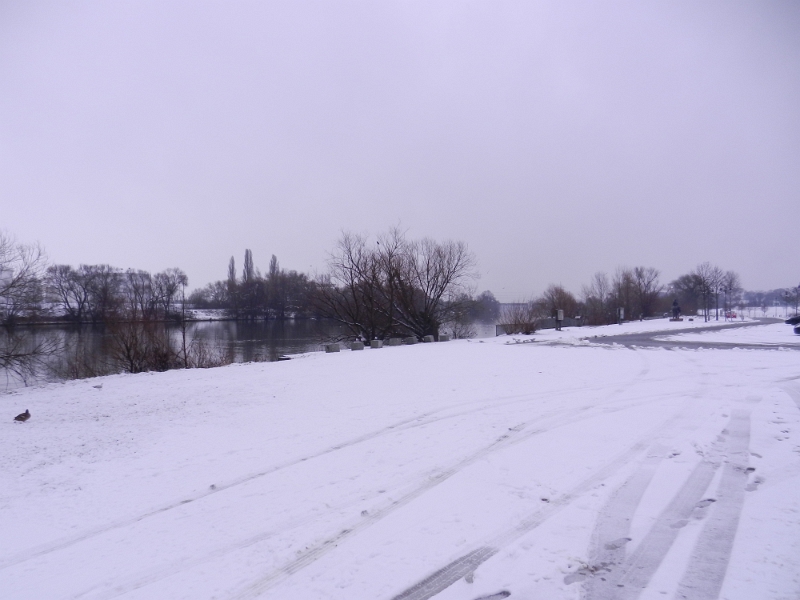 DSCN7783.JPG - Auf einem großen Parkplatz am Main finden wir sehr viel Platz.