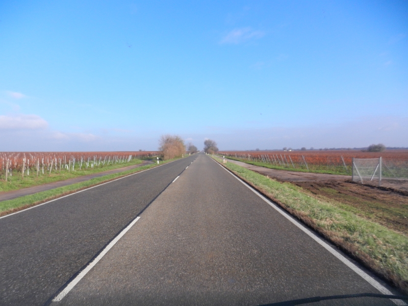 DSCN4011.JPG - Nun sind wir aber schon wieder auf dem Heimweg.