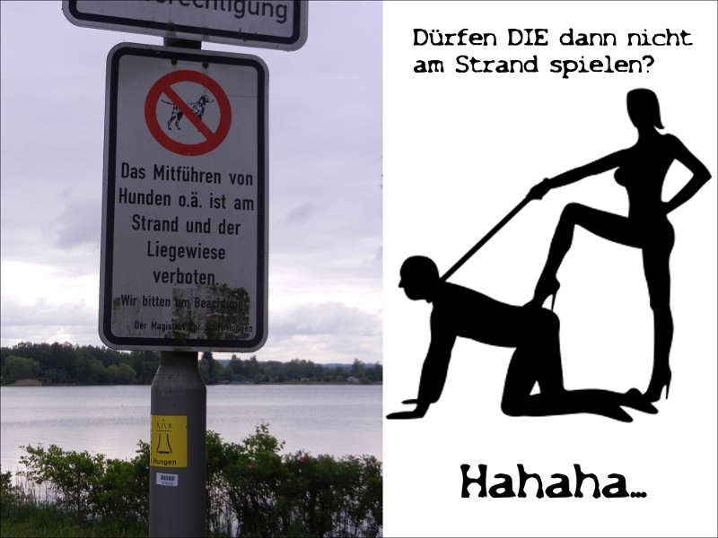 DSCN6913b.jpg - Am See haben wir dieses Schild gesehen!"Das Mitführen von Hunden o.ä. ..."??? Was ist Hundeähnlich???Wir haben uns das gerade SOOOOOO (Siehe Bild!) vorgestellt! Hihihi...